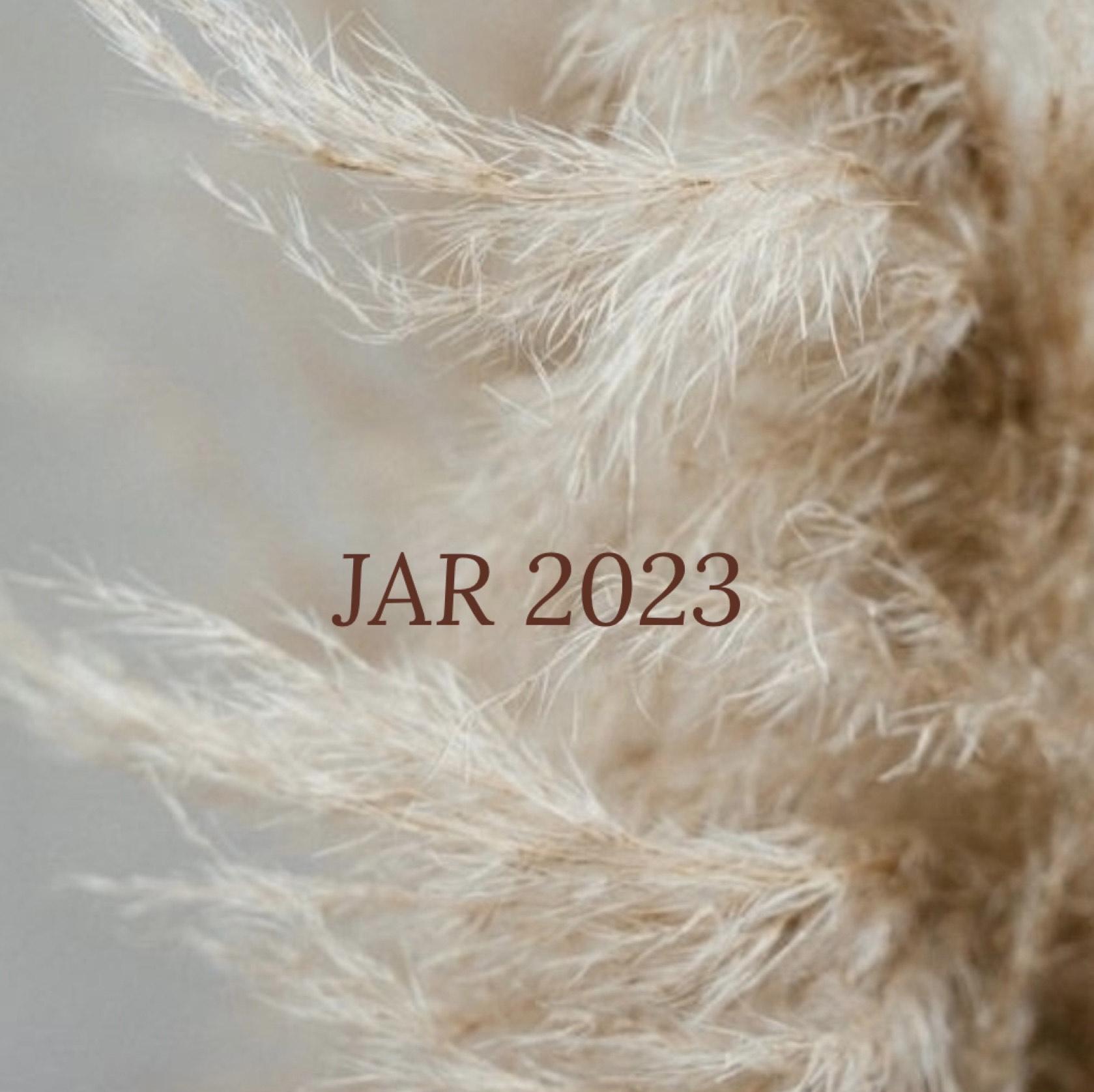Jar 2023
